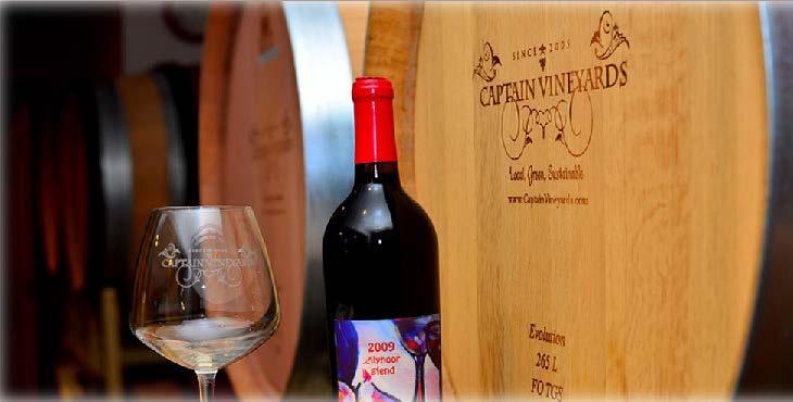 Image of a wine glass, wine bottle, and barrel.