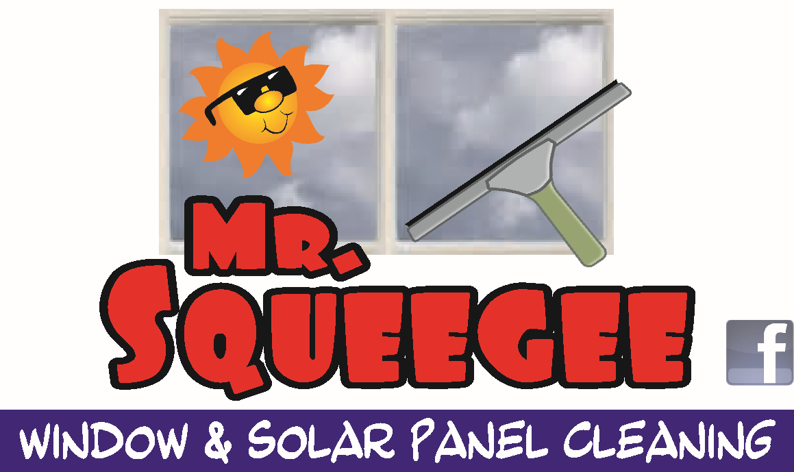 Mr Clean Squeegee