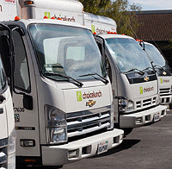 An image of Choice Lunch trucks.