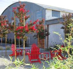 Image of red outdoor chairs in a courtyard.